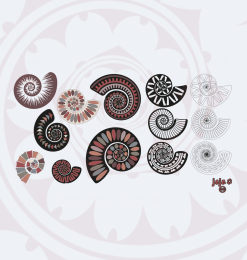 漂亮的鹦鹉螺花纹装饰图案Photoshop笔刷下载