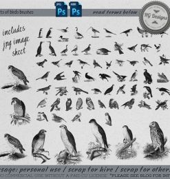 各种野生鸟类图形PS笔刷素材下载