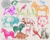 手绘驴子、野熊、野鹿、鸟兽、小狗、斑马、蝙蝠等PS图形笔刷