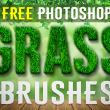 免费的青草、草地纹理、草坪、草皮Photoshop笔刷下载