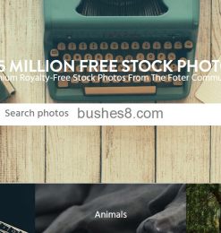 免费商用图库 Fote：收录超过3亿张的相片素材网站！授权模式 CC0
