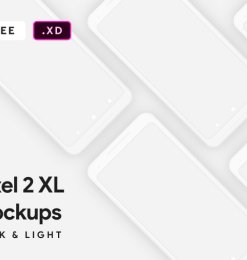 Pixel 2 XL样机素材、模型 – Adobe XD模板素材免费下载