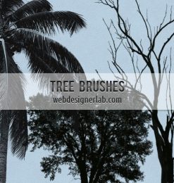 大树、树木造影、椰子树图形PS笔刷下载