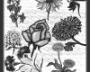 18种矢量花朵、花纹Photoshop印花图案笔刷素材