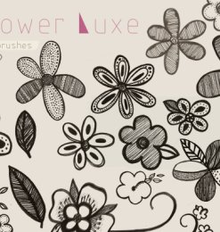 30种精美的手绘花朵图案、鲜花印花素材PS笔刷下载