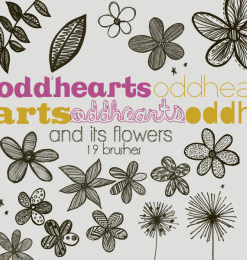 19种手绘涂鸦花纹、鲜花花朵、植物叶子图案Photoshop笔刷下载