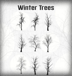 9种树枝、干枯的大树、冬天的树木PS笔刷下载