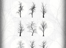 9种树枝、干枯的大树、冬天的树木PS笔刷下载