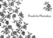 欧式经典的蕨类植物印花、花纹图案Photoshop笔刷下载