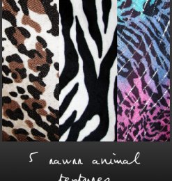 一组漂亮的豹纹、动物斑纹条纹纹理Photoshop背景笔刷下载（JPG格式素材）