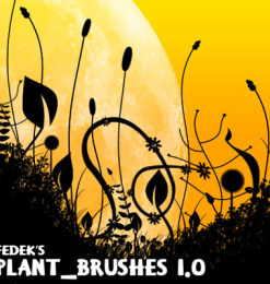 手绘艺术线条植物花纹图案Photoshop笔刷下载