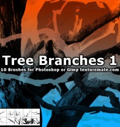 10种高清树干、树木、枯树图像Photoshop笔刷下载