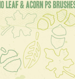 10种手绘线框植物叶子、橡树果实等图形Photoshop笔刷下载