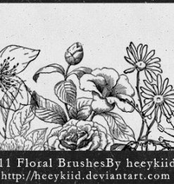 11种手绘鲜花花朵图案风格Photoshop花纹笔刷素材