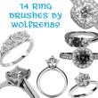 14种钻戒、宝石戒指、订婚戒指、结婚戒指Photoshop笔刷素材下载