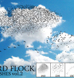 鸟群、飞鸟梯队背景Photoshop笔刷素材下载