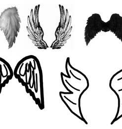 羽毛翅膀、涂鸦翅膀、手绘翅膀图形Photoshop笔刷下载