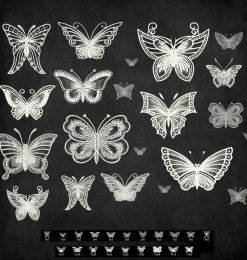 漂亮精美手绘的线框蝴蝶图像Photoshop蝴蝶花纹、印花笔刷素材下载