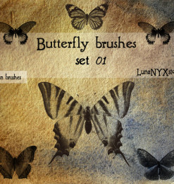 蝴蝶图案、蝴蝶标本素材Photoshop笔刷下载