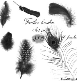 15种漂亮的珍禽野兽羽毛图案Photoshop笔刷下载