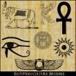 埃及文化图形素材Photoshop装饰笔刷