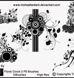 漂亮丰富的植物花圈图案、艺术花纹装饰Photoshop笔刷下载