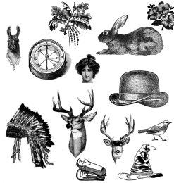 复古式兔子、帽子、鹿头、小鸟等装备元素PS笔刷素材
