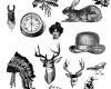 复古式兔子、帽子、鹿头、小鸟等装备元素PS笔刷素材