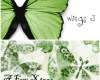 蝴蝶艺术花纹图案、精美蝴蝶印花PS笔刷素材下载