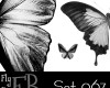 蝴蝶图案、蝴蝶标本PS笔刷下载