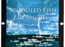 海底的鱼造影图案PS笔刷下载