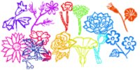手绘鲜花、线框花朵图案PS笔刷下载