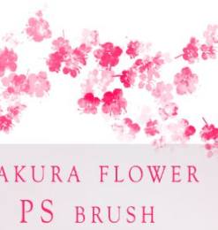 粉嫩樱花纹理、桃花、鲜花水粉图案PS笔刷