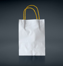 空白的纸质购物袋、环保手提袋PSD品牌样机模型素材下载