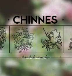 古典式中国印花图案PS笔刷素材