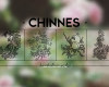 古典式中国印花图案PS笔刷素材