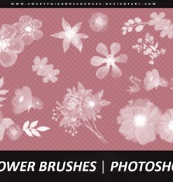 漂亮的鲜花花朵图案造型PS笔刷免费下载