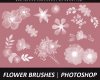 漂亮的鲜花花朵图案造型PS笔刷免费下载