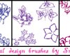 手绘漂亮的植物花纹、印花图案PS笔刷下载