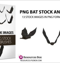 13种恐怖黑蝙蝠、蝙蝠吸血鬼图案PS笔刷下载
