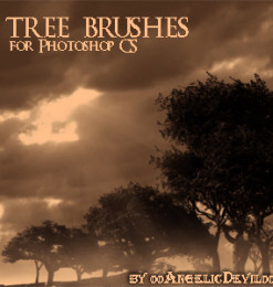 非洲丛林大树、树木、枯树剪影图像PS笔刷下载