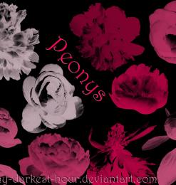 鲜花花朵、花束图形Photoshop笔刷素材下载