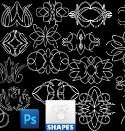手绘线条植物花纹图案photoshop自定义形状素材 .csh 下载