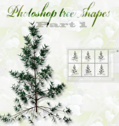 树木、小树、装饰树枝图案photoshop自定义形状素材 .csh 下载