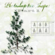 树木、小树、装饰树枝图案photoshop自定义形状素材 .csh 下载