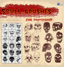 恐怖骷髅头、人体头颅图案Illustrator矢量笔刷Ai画笔素材免费下载