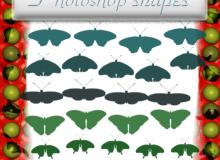 蝴蝶、飞蛾图像PS笔刷下载(csh格式，自定义形状)