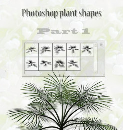 针松叶植物图案PS笔刷下载(csh格式，自定义形状)