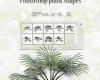 针松叶植物图案PS笔刷下载(csh格式，自定义形状)