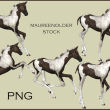 飞奔的骏马、矫健身姿的黑白马匹Photoshop笔刷下载（PNG图片素材）